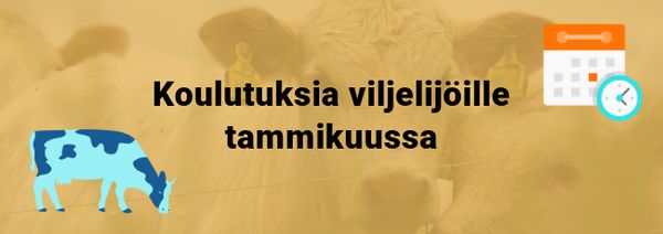Koulutuksien mainoskuva