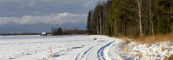 Luminen peltomaisema