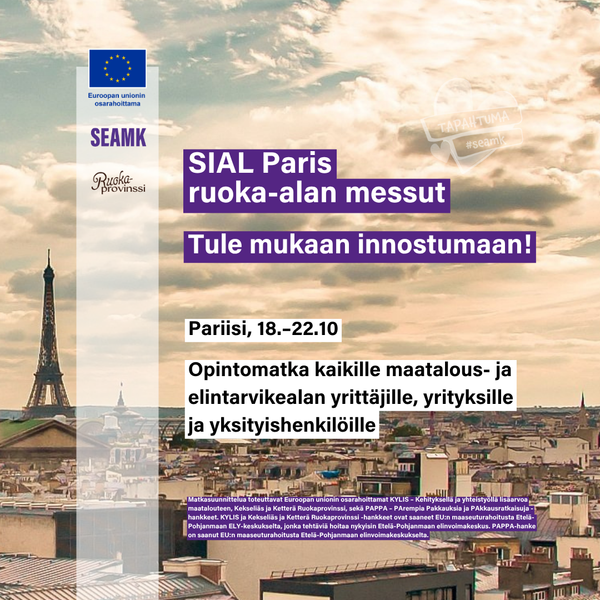 Pariisin kattoja ja Eiffel-torni