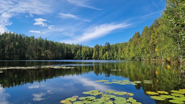 Kesäinen järvimaisema