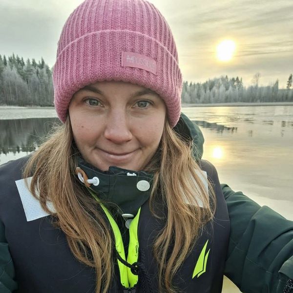 Pajunkissoja keväthangella