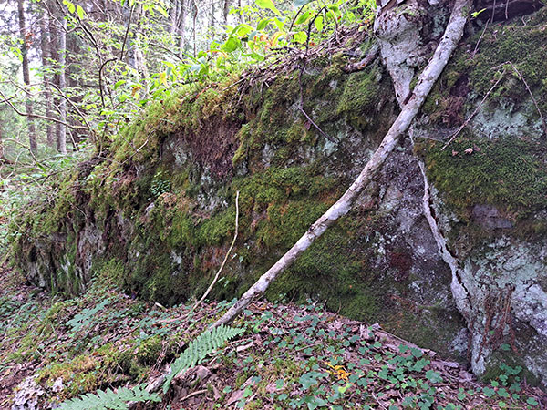Sammaleinen kallionreunus, johon nojaa kaatunut puunrunko.