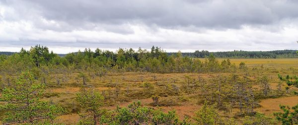 Suomaisemaa Valkmusa, kuva Anna Vuori.