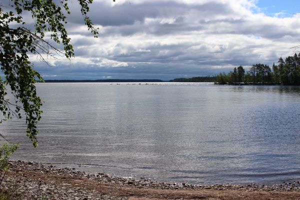 Saimaan rantaa.