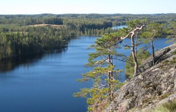 Kaunis järvimaisema, etualalla kalliota ja mäntyjä.
