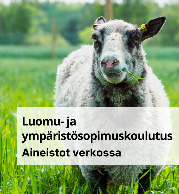 Lammas laitumella, teksti Luomu- ja ympäristösopimuskoulutus, aineistot verkossa.