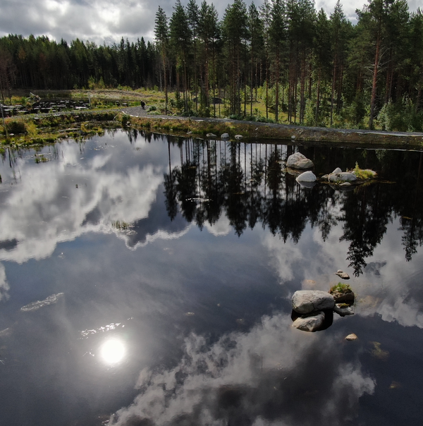 Metsälampi, jonka tyynestä pinnasta heijastuu aurinko.