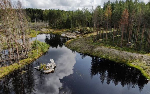 Iso kosteikko metsässä, kosteikon reunalla metsätie.
