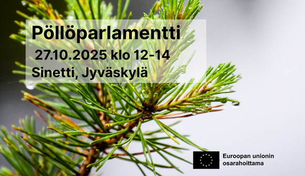 Männynoksa lähikuvassa.