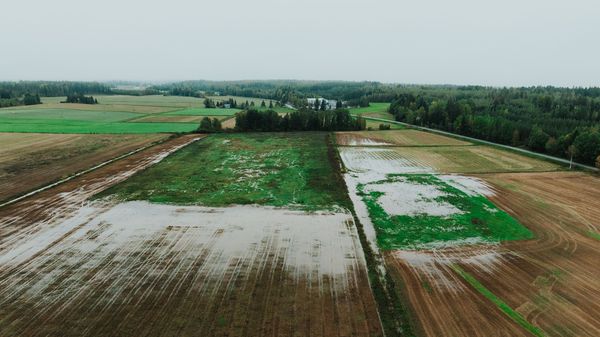 Ilmakuva peltoaukeasta, jolla paljon vettä.