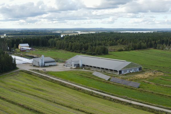 Ilmakuva maatilasta.