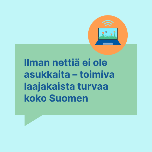 Lammas katsoo kameraan