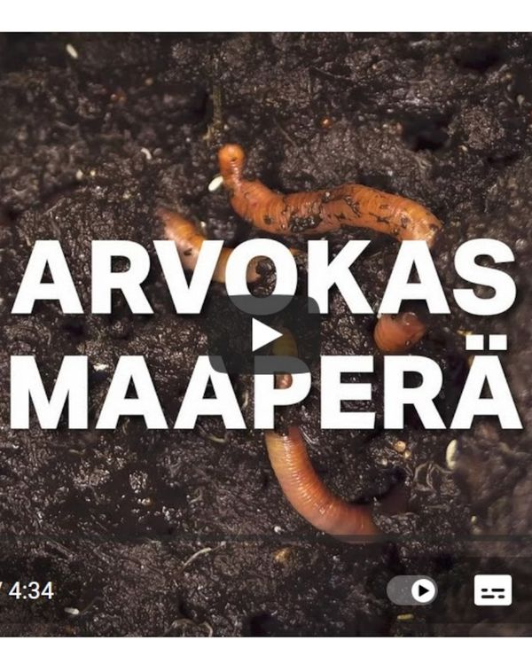 Kuvassa on työmaa ja koneita.