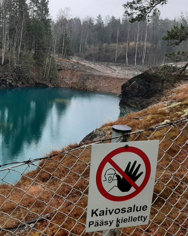 Kuvassa on kurkia pellolla.