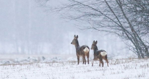 Kuvassa on uusi PIMA-asiantuntija Markus Heikkinen.