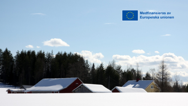 Utsikt på vintertid. EU-flaggans logotyp