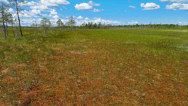 Pohjois Pohjanmaan ELY keskuksen Uutiskirje Uutiskirje 2 2025