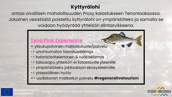Teno Pink Experience -hankkeen esite.