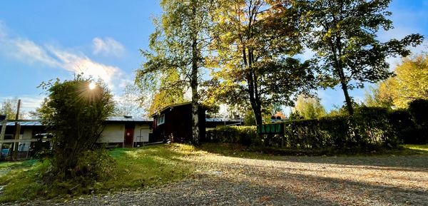 Ihminen pitää lautaa kädessään