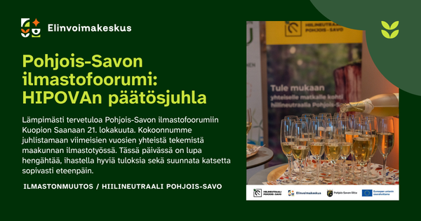 Kuvituskuvassa kuohuviinilaseja ja -pullo.