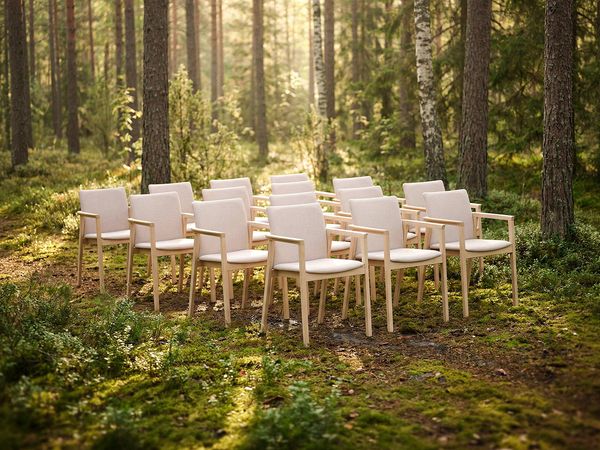Tuoleja metsässä