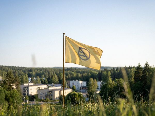 Kuusen latvoja