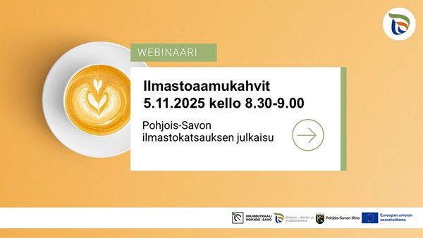 Metsää ja vettä ilmakuvassa