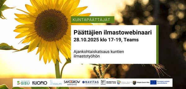 Ihminen pitää lautaa kädessään