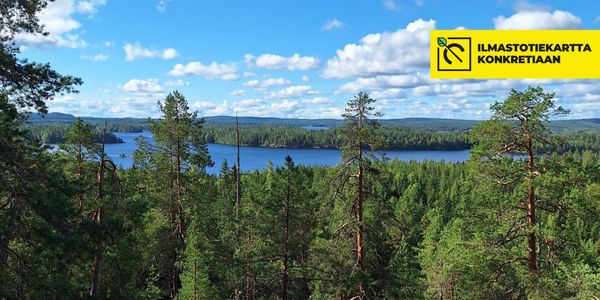 Puiden latvoja järven edessä