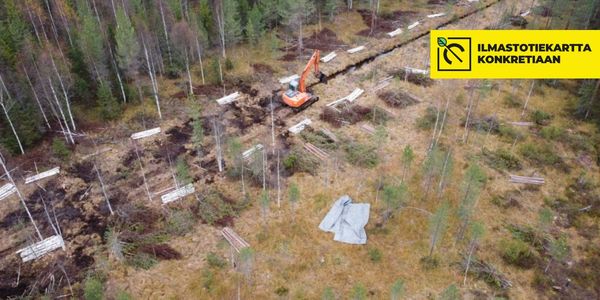 Suo ja kaivinkone ylhäältäpäin kuvattuna 
