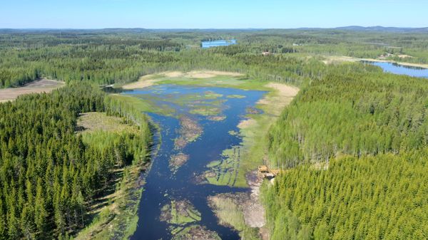Metsää ja vettä ilmakuvassa