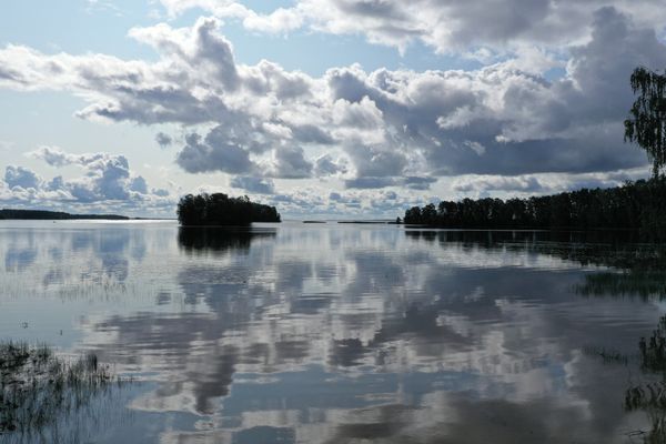 metsä ja vesi ylhäältä päin kuvattuna