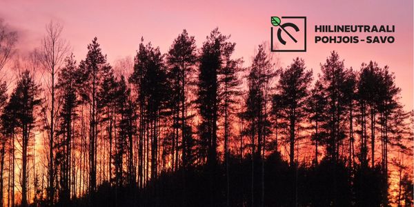 Puita punaista taivasta vasten