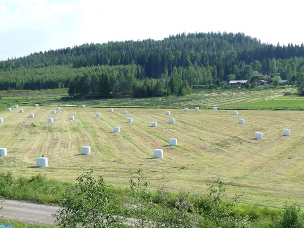 Kestävyysviestännän ajatuspajat ja puhujat kuvina