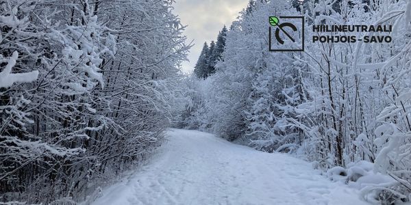 Talvisessa maisemassa heinänkorsi on saanut ohuen lumihunnun.