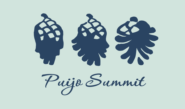 Kolme piirrettyä männynkäpyä vieretysten.