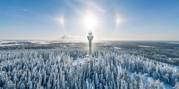Talvinen metsä ja Puijon torni