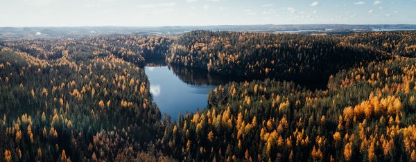 Ilmakuvassa metsä ja järvi