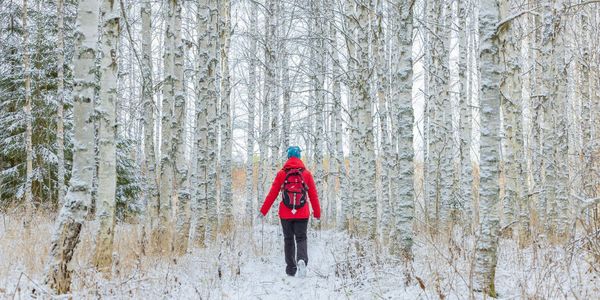 ihminen kävelee talvisessa metsässä