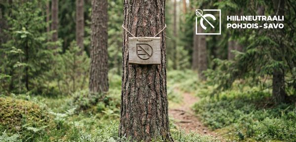 Metsää. Puu, jonka takan kulkee polku
