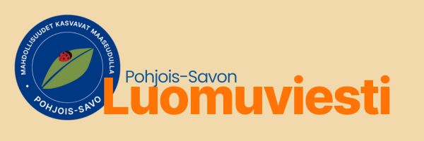 Kuvituskuva uutiskirjeelle