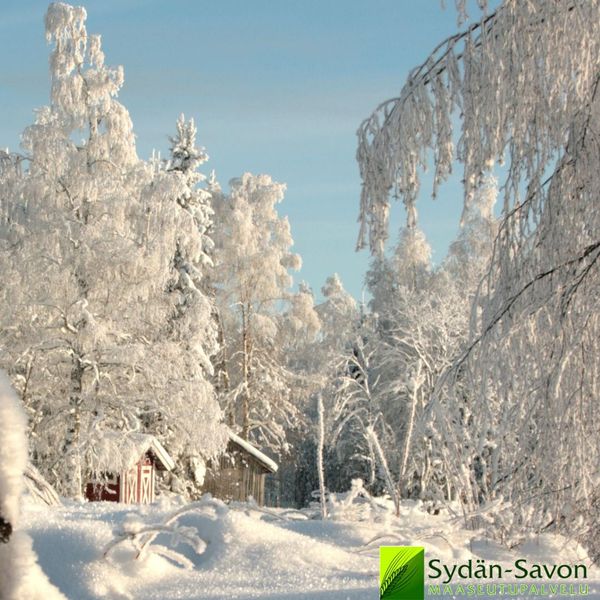 Kuva Savon Luotsi Leaderin henkilöstöstä