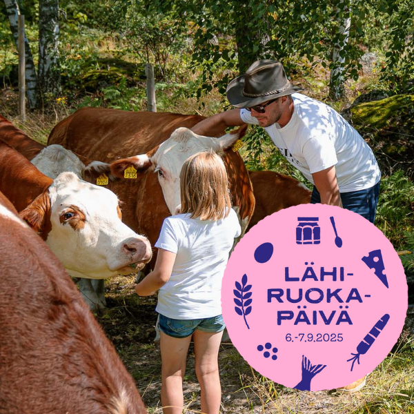 Lapsi ja isä rapsuttamassa lehmiä.