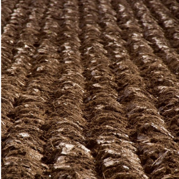 Pelto, johon on levitetty lantaa.