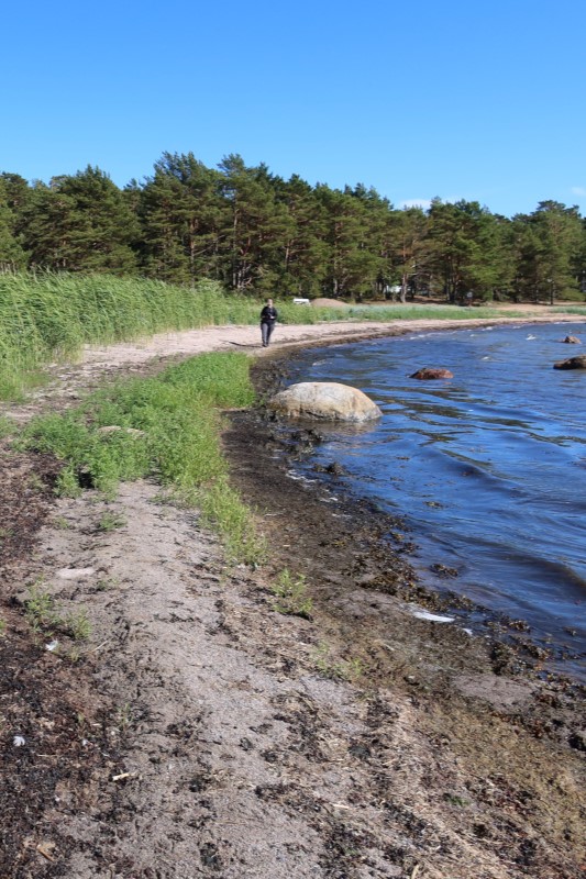 Hoidettavaa hiekkarantaa..