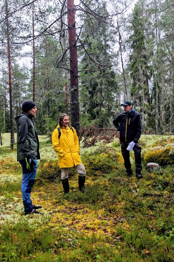 Ihmisiä seisoo metsässä.