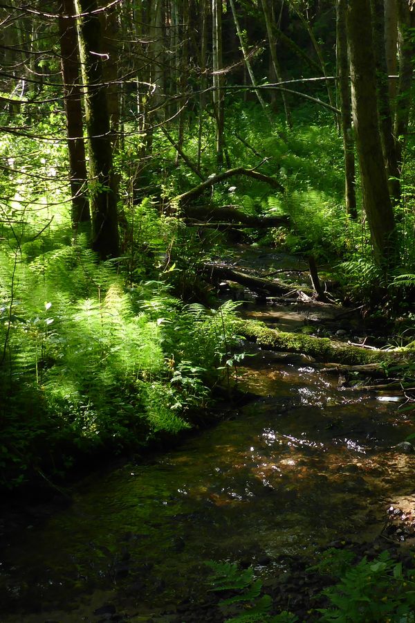 Luonnonhoitaja huoltaa työvälinettään.