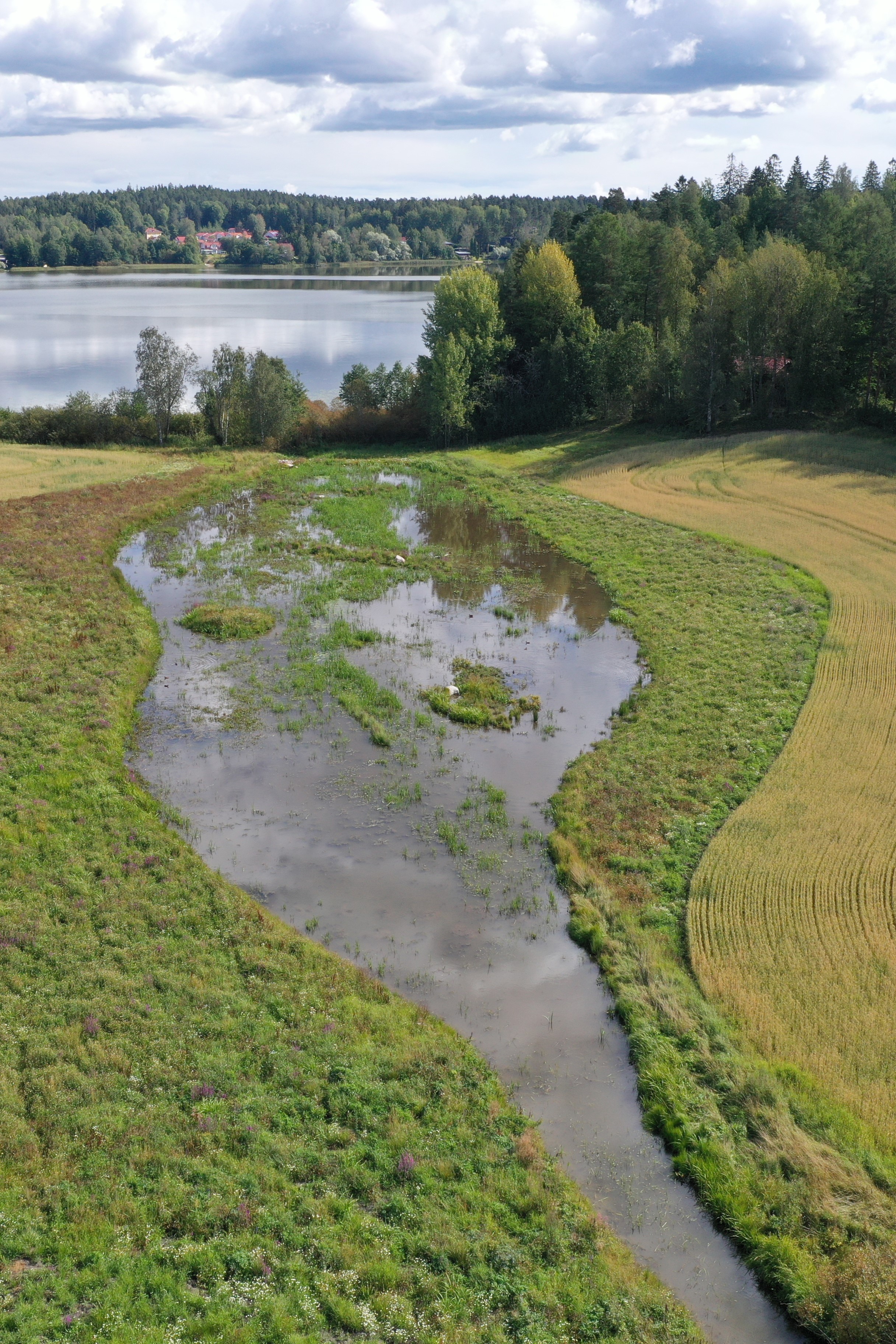 Nedergårdin kosteikko.