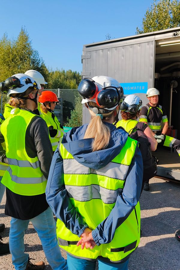 Viirupöllö kelossa.