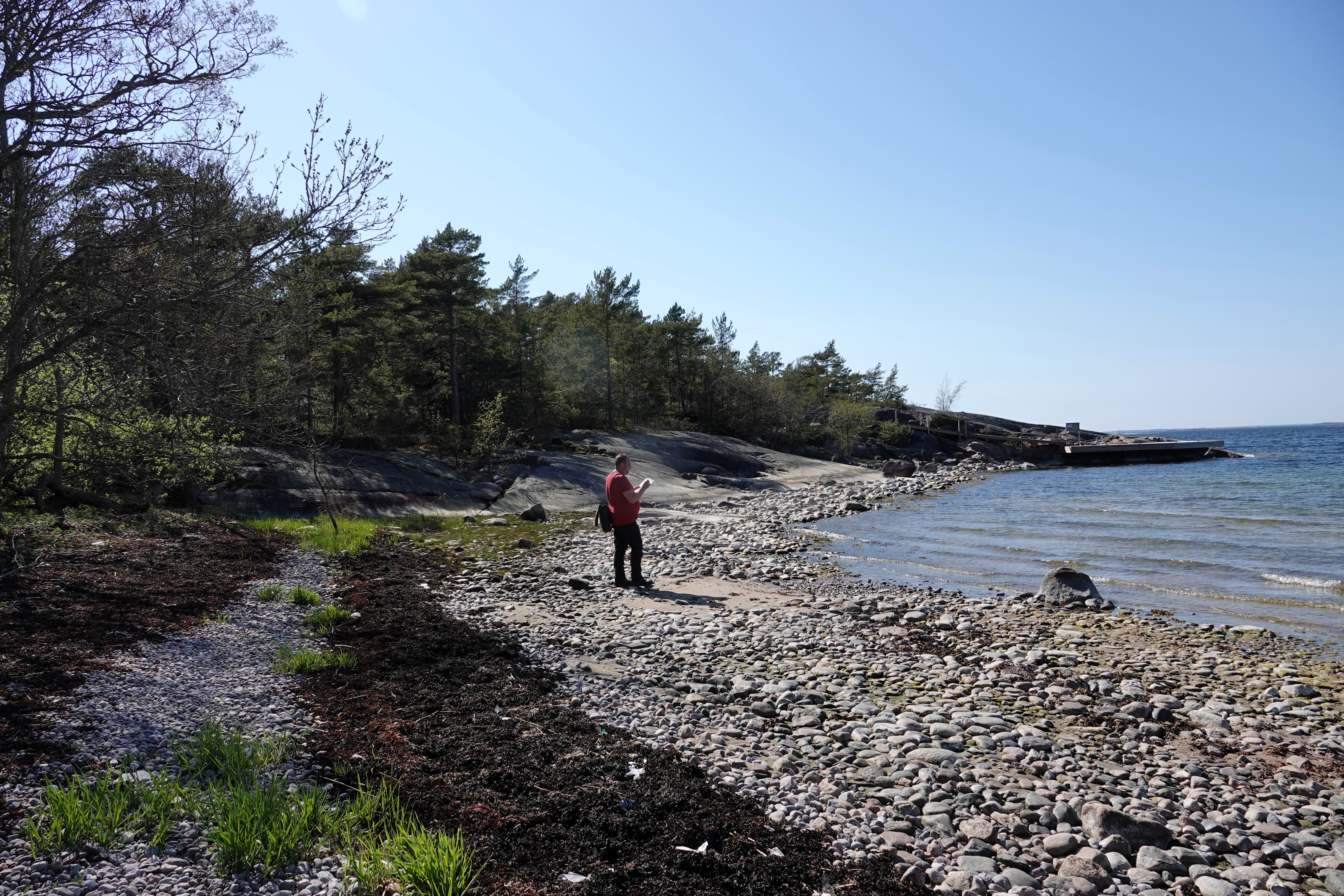 Rantamaisemaa.